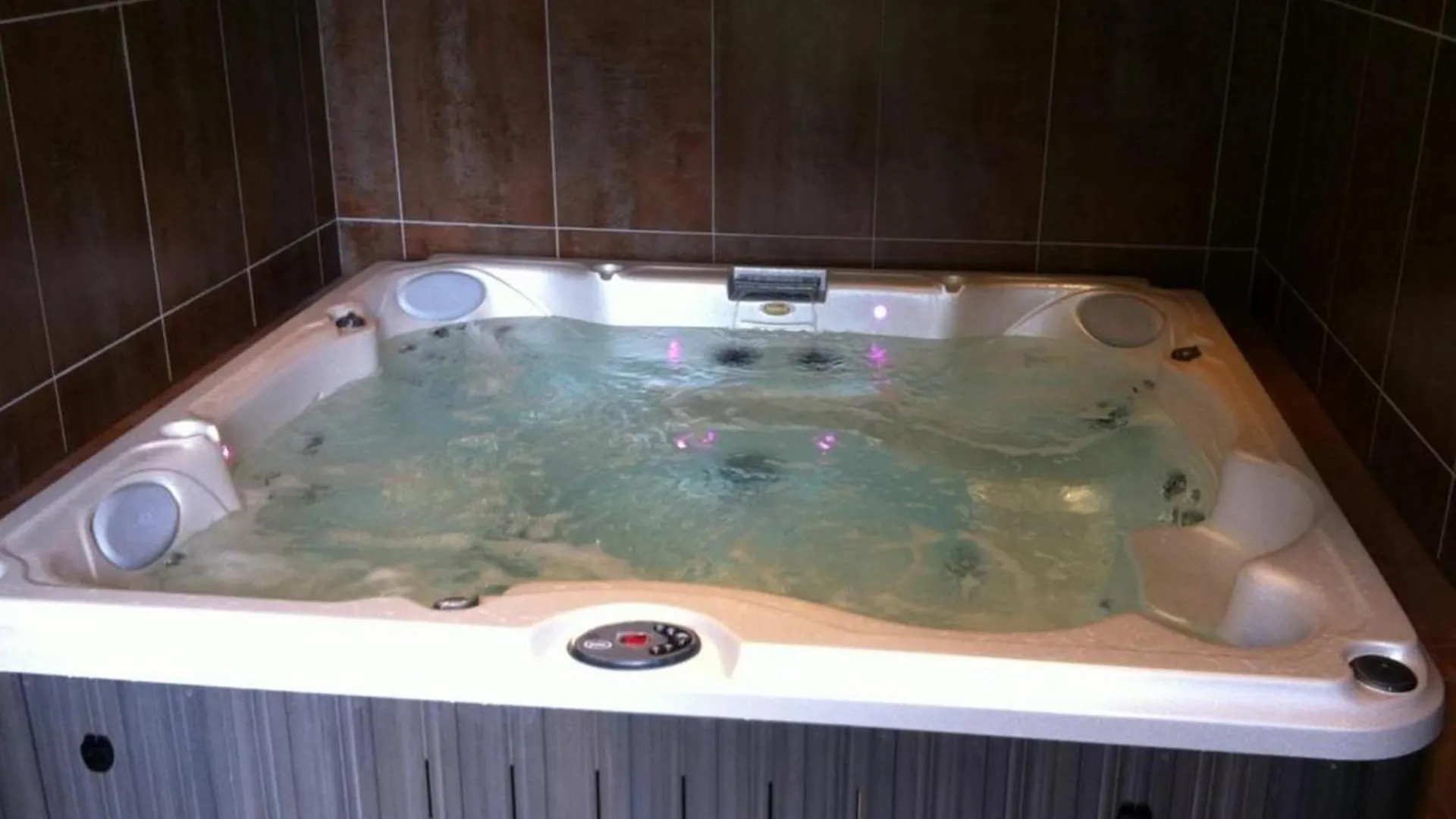 Maison Renovee 19E, Piscine Chauffee, Sauna, Spa, Grand Parc, Proche De La Nature Spacieuse Et Tout Confort. - Fr-1-489-399 Cerilly  Holiday home